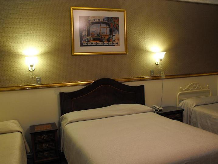 Hotel Espana サンティアゴ 部屋 写真